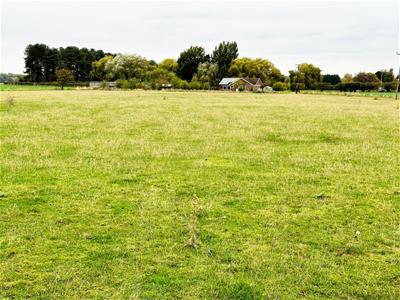 Picture 23